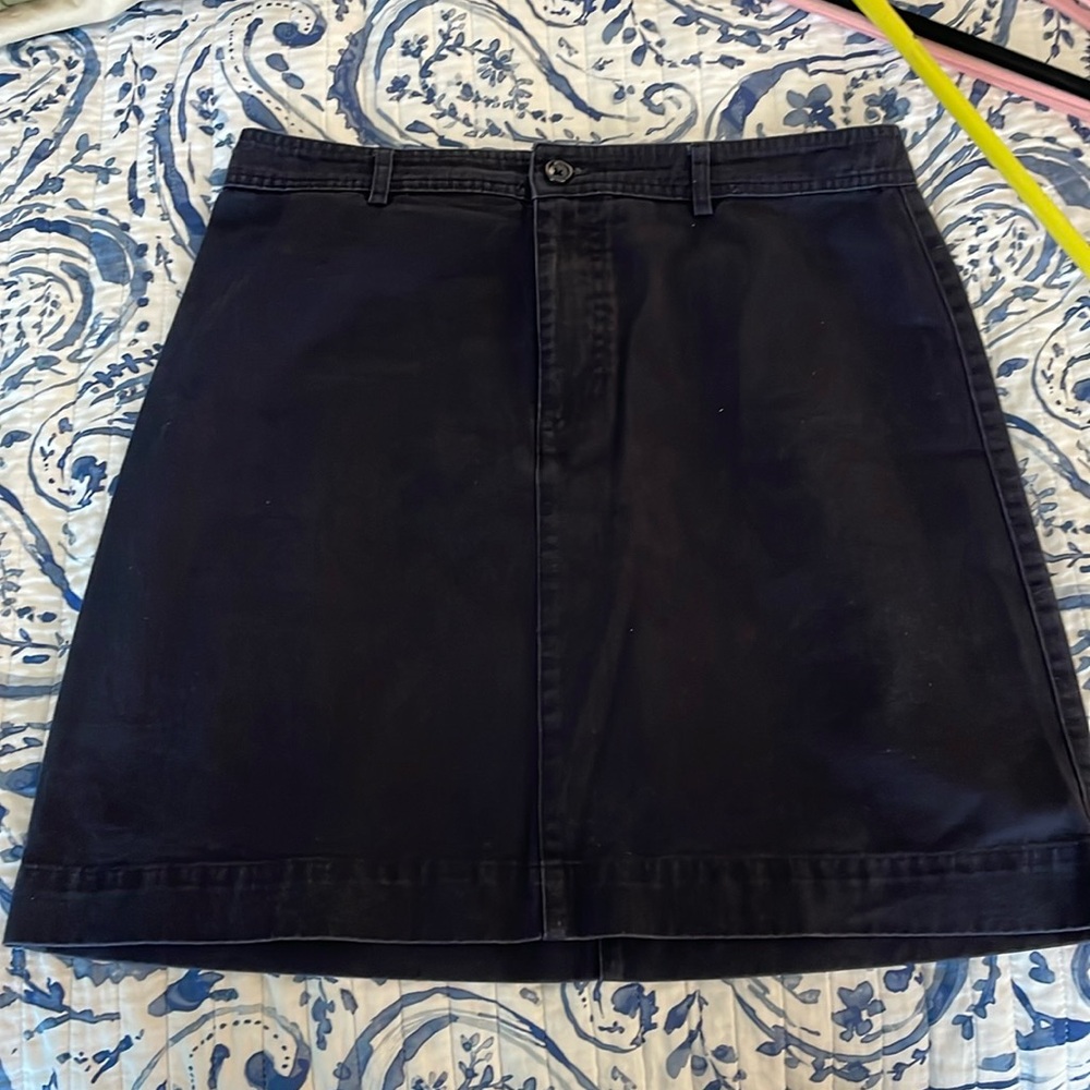 Gap Navy Skirt